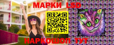 стаф Славгород
