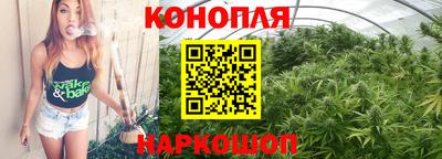 стаф Славгород