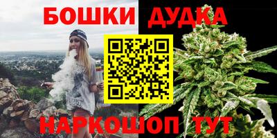 стаф Славгород