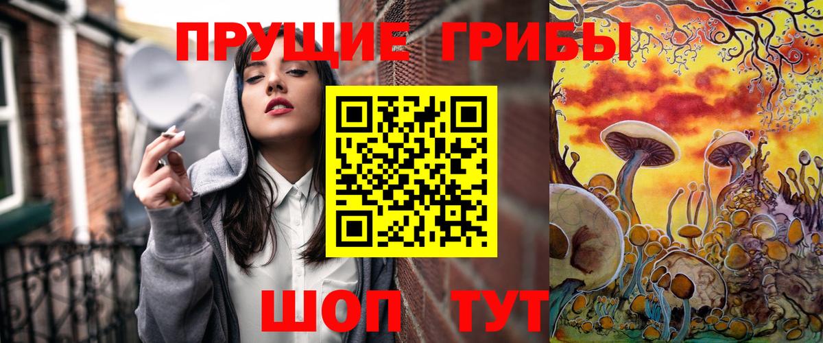Галлюциногенные грибы Psilocybine cubensis Барнаул